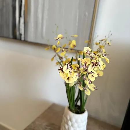 Joanna & Arya Engomi Apts *