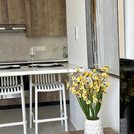 Joanna & Arya Engomi Apts Appartement