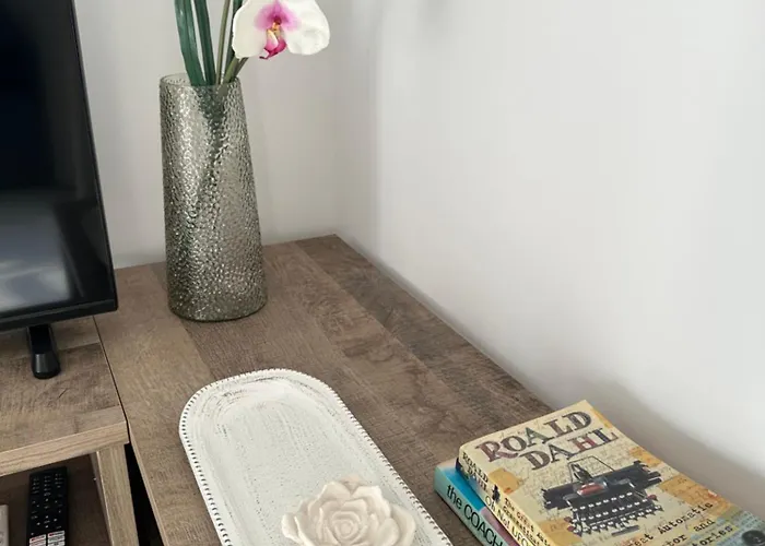 Joanna & Arya Engomi Apts 公寓 *