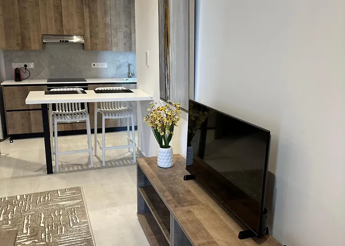 Joanna & Arya Engomi Apts 公寓 *