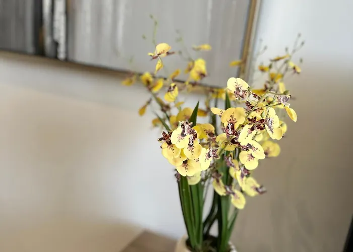 Joanna & Arya Engomi Apts *