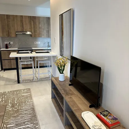Joanna & Arya Engomi Apts 公寓 *